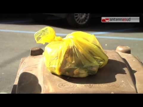 Tg Antenna Sud - Lotta agli sporcaccioni, il ristoratore beccato chiede scusa