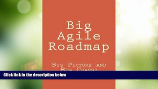 Big Deals  Big Agile Roadmap: Big Picture and Big Change  Best Seller Books Most Wanted