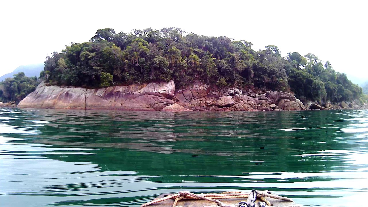4k, Full HD, Ultra HD, Ubatuba, SP, Brasil, mergulhando com as tartarugas marinhas, corais, peixes e vida marinha, Marcelo Ambrogi, agosto de 2016, (12)