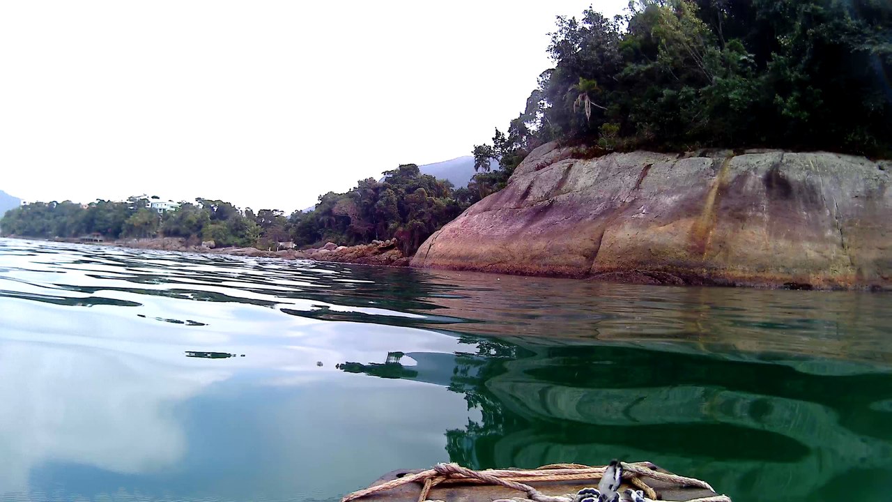 4k, Full HD, Ultra HD, Ubatuba, SP, Brasil, mergulhando com as tartarugas marinhas, corais, peixes e vida marinha, Marcelo Ambrogi, agosto de 2016, (13)
