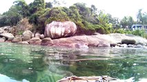 4k, Full HD, Ultra HD, Ubatuba, SP, Brasil, mergulhando com as tartarugas marinhas, corais, peixes e vida marinha, Marcelo Ambrogi, agosto de 2016, (20)