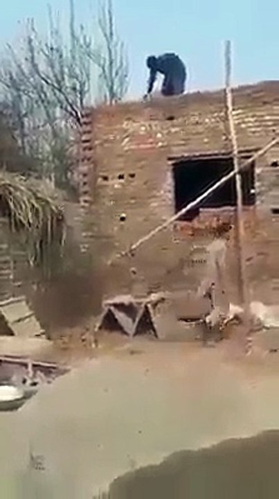 Pakistani technology (paktail video..)