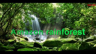 Amazon rainforest through photographs [Travel around the world]