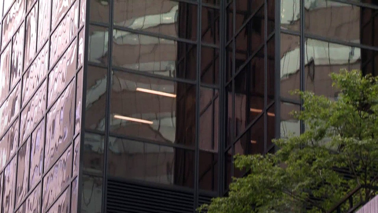 Etats-Unis : un homme escalade la Trump Tower pour pouvoir parler à Donald Trump