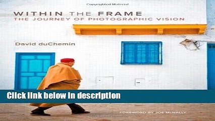 Download Within the Frame: The Journey of Photographic Vision Book Online