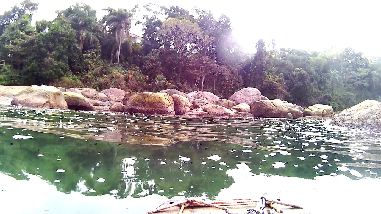 4k, Full HD, Ultra HD, Ubatuba, SP, Brasil, mergulhando com as tartarugas marinhas, corais, peixes e vida marinha, Marcelo Ambrogi, agosto de 2016, (24)