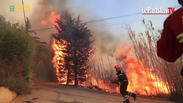 Au coeur du combat des marins-pompiers de Marseille contre les feux de forêt