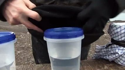 Keeping Warm Experiment - Frozen Oceans - Arctic