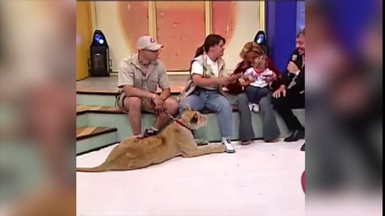 México: Aquel ataque de leona a niña en pleno directo