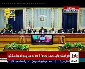 عامر: لن نحقق النمو بالمدخرات المحلية فقط .. والقرض بداية للاستقرار الاقتصادي