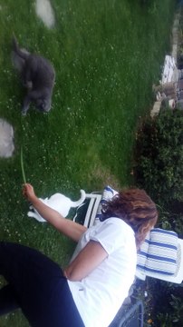 Chance dans le jardin avec quelques uns de mes chats