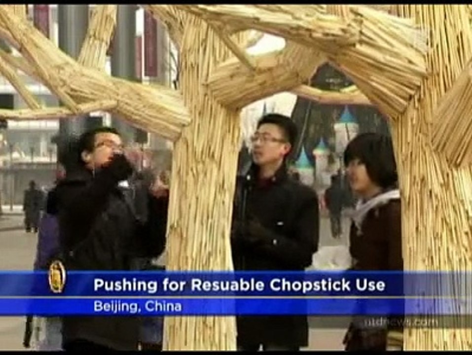 Best Rated Disposable Chopstick 200 Pairs in Bags Chopsticks Chopstick Review