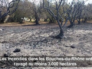 Incendies près de Marseille: un homme interpellé, risques de reprise