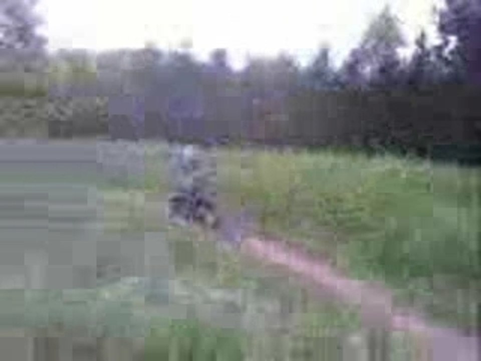 Dirt Bike 125  Orion