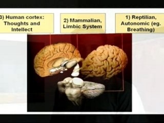 Dancing Brain Teaser 🧠