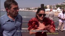 Le Chat Potté à Cannes