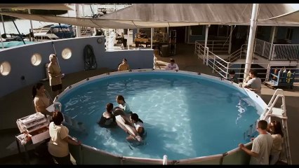 L'incroyable histoire de Winter le dauphin VF