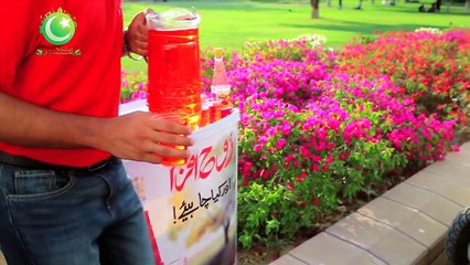 Shukriya PAKISTAN Song by Rahat Fateh Ali 2016 HD