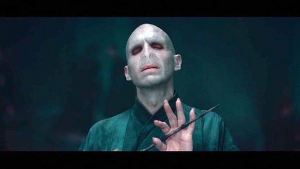 Harry Potter et les Reliques de la Mort : 2eme Partie VF - Ext 4