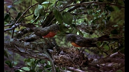 Mary Poppins - Extrait (5) VF