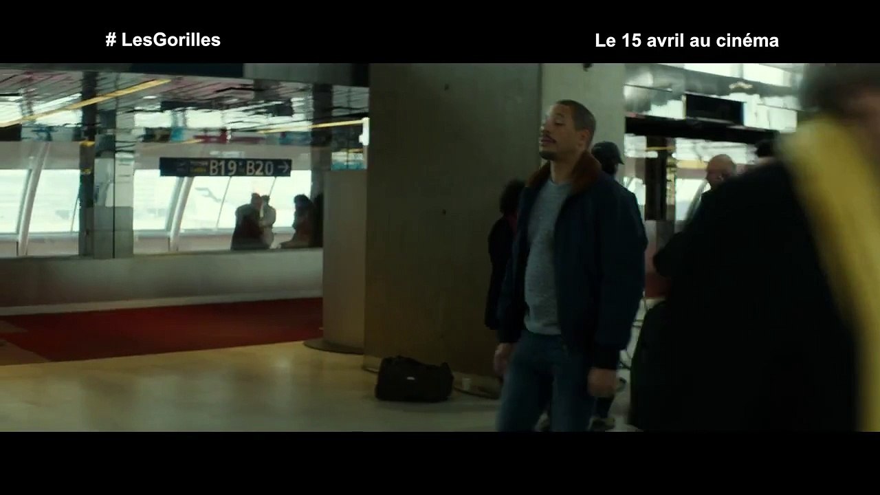 Les Gorilles - Extrait (3)