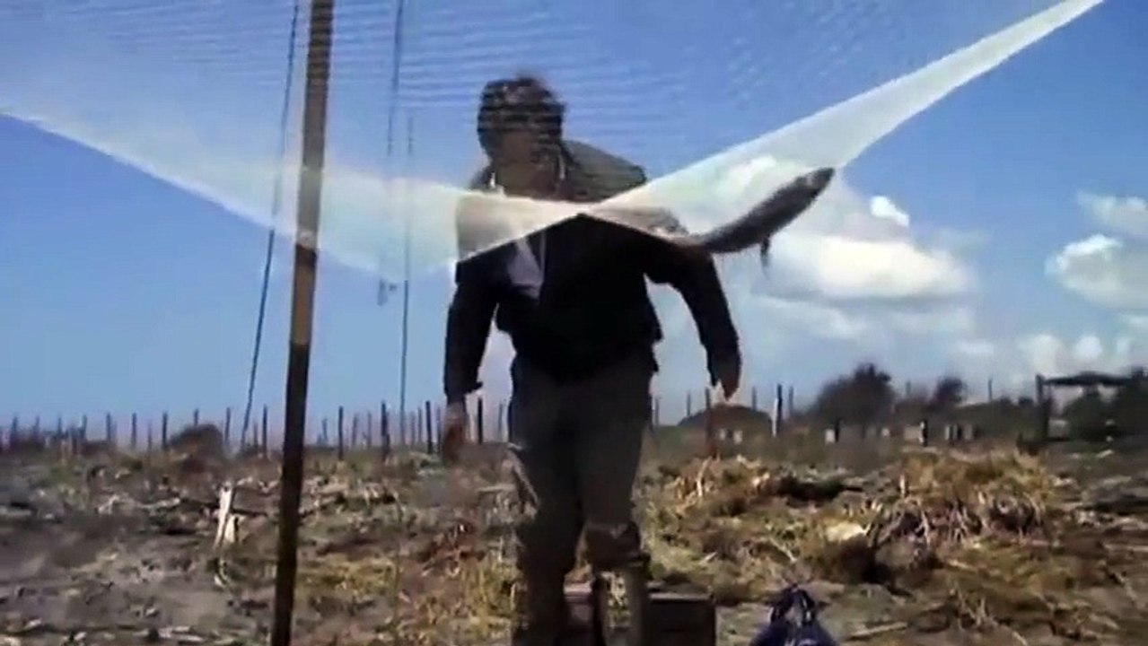 Au nom du peuple italien VF - Ext