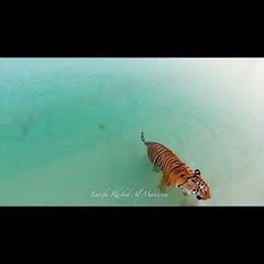 Beautiful Planets vedio..... Must watch