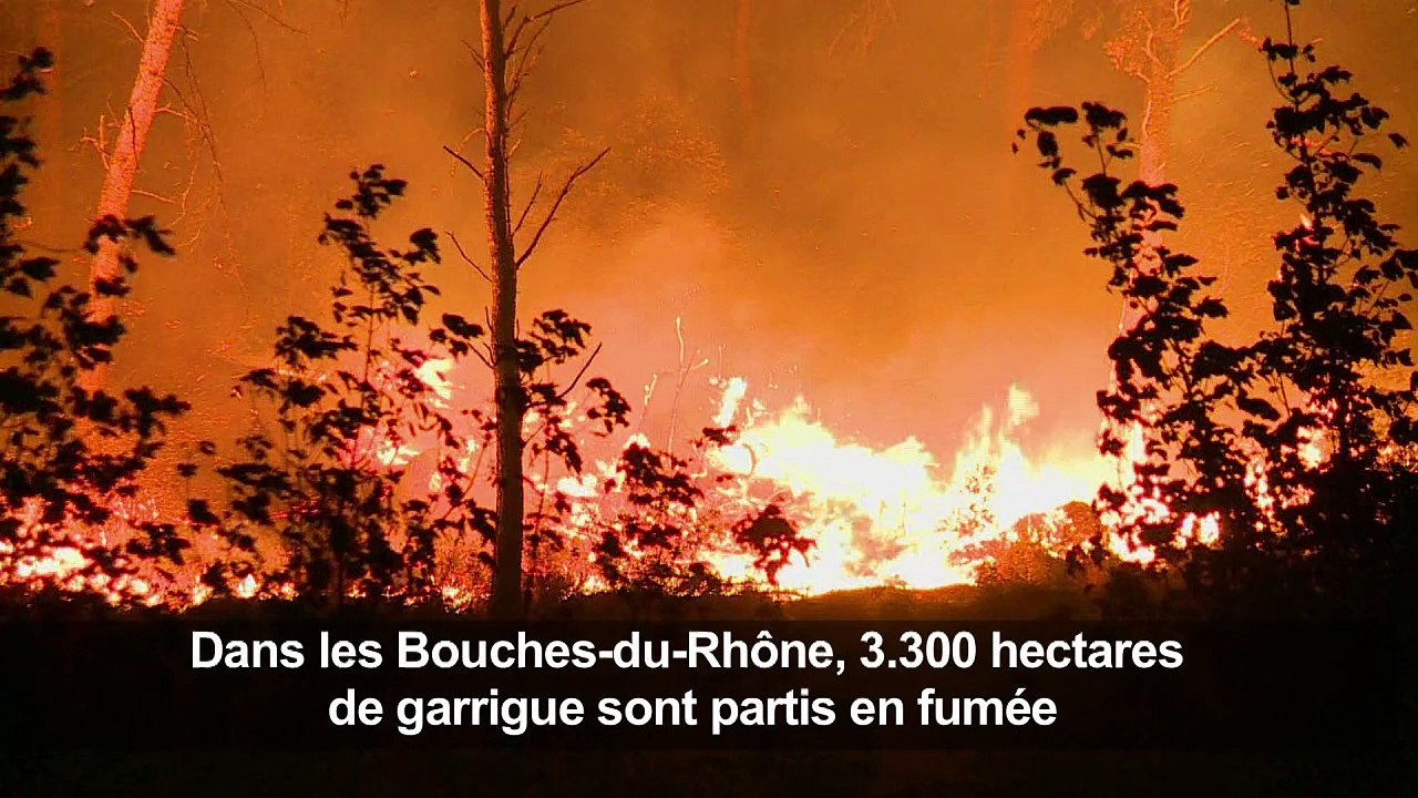 Le feu au nord de Marseille "fixé" dans de nombreuses parties