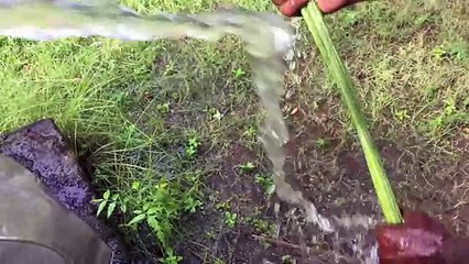 Cooking a entire chicken at My Village