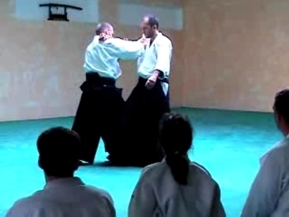 Aikido Frankfurt 2006