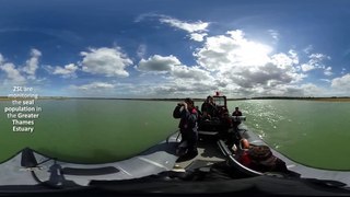 Spotting seals on the Thames - 360° Video