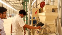Lucao High Tech (QPS Group) 6FW-50B corn flour milling machine