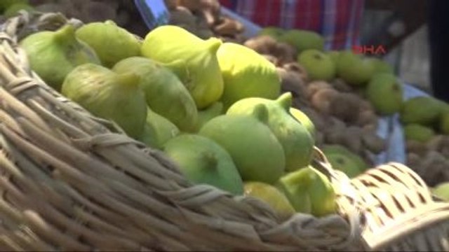 Aydın Sezonun İlk Kuru İncirinin Kilosu 125 Liradan Satıldı