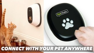 Call Your Pet for a Videochat with Petchatz