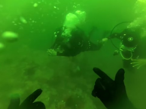 Scuba Diver Comes to Rescue of Woman Panicking During Ascent