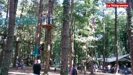 Sarzeau (56). L'accrobranche un loisir dans le vent