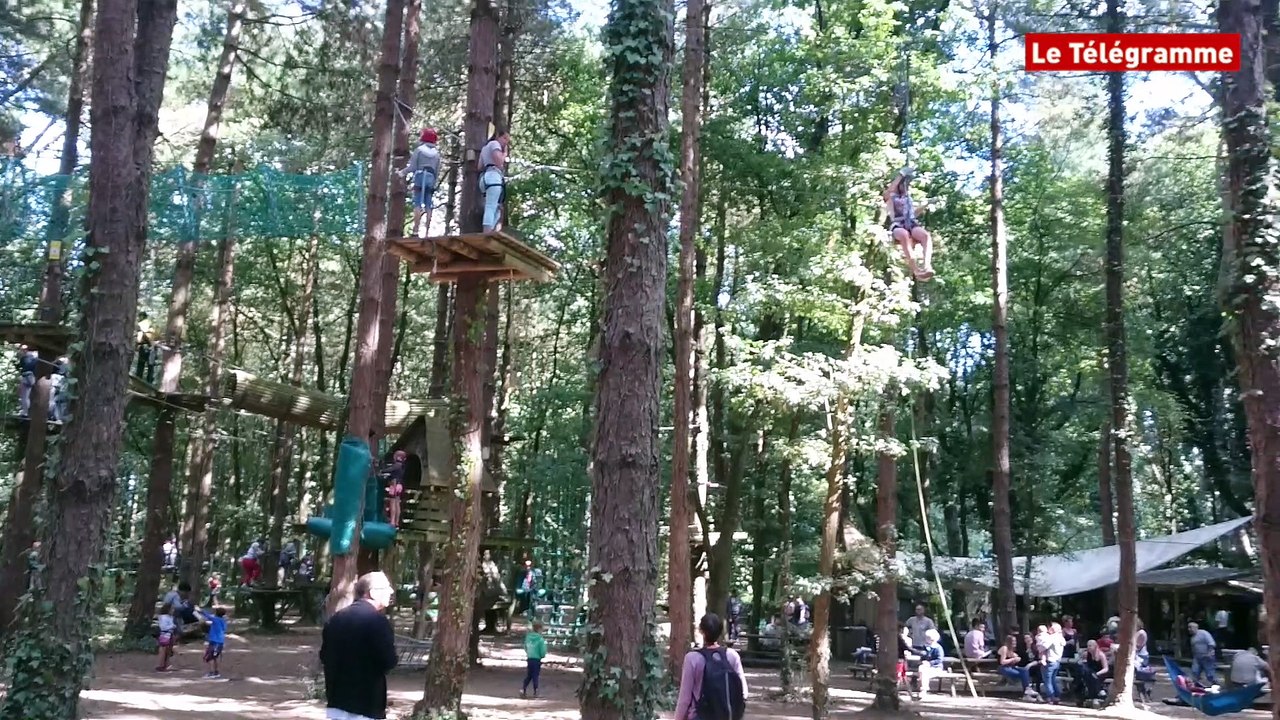 Sarzeau (56). L'accrobranche un loisir dans le vent