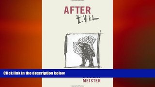 different   After Evil: A Politics of Human Rights (Columbia Studies in Political