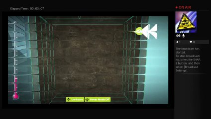 dancing whit bob (3)