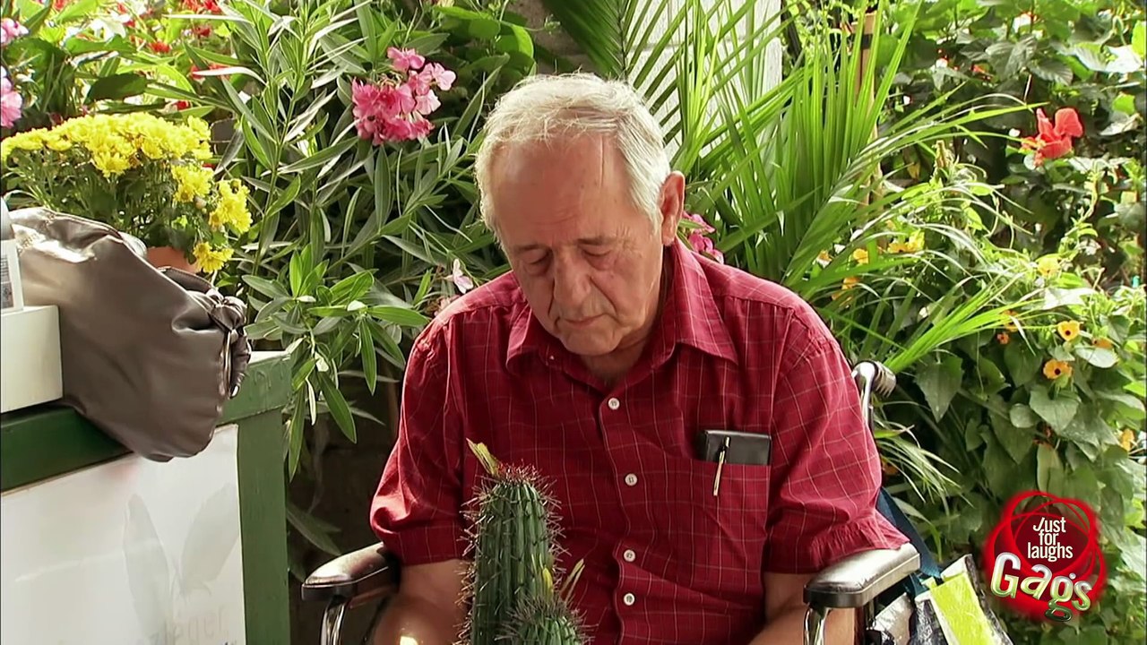 Old Man Cactus TO THE FACE! !