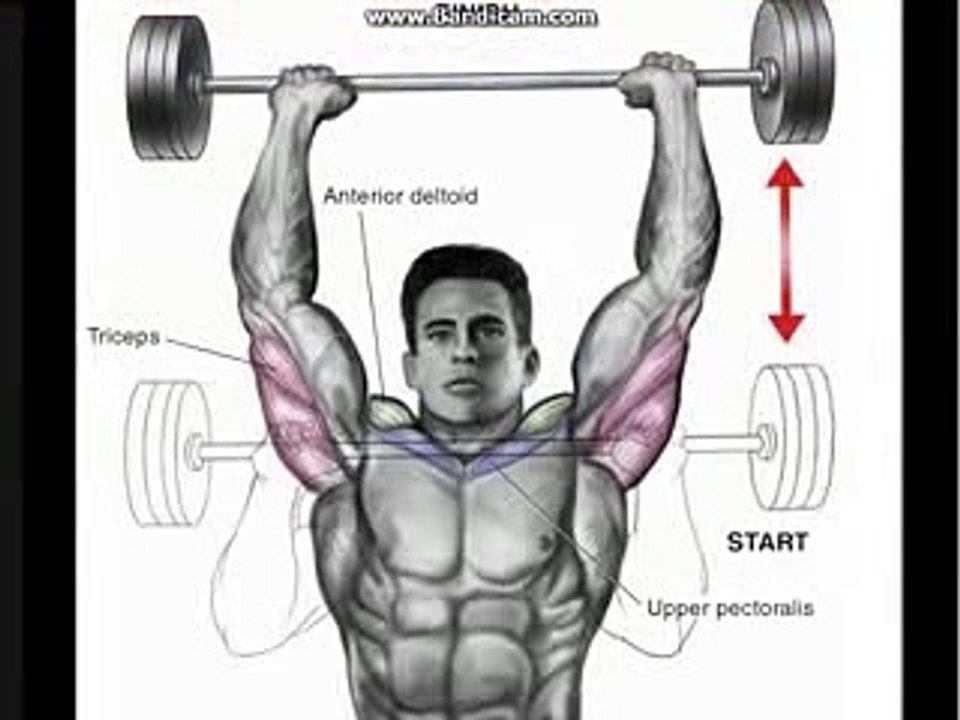 Gym 2016 More than 25 exercis for GYM FITNESS beautiful body Models exercise fitness