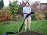 How to install recycled plastic lawn edging roll around flower bed. Enjoy neat border and lawn edge