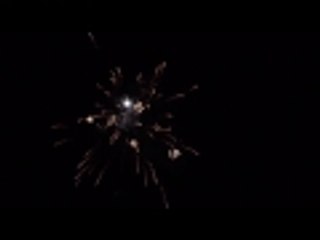 Happy new year everybody truck Rudi is celebrating