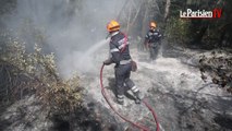 Incendie : avec les marins-pompiers de Marseille sur le terrain