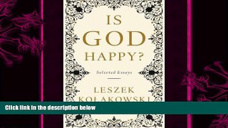 behold  Is God Happy?: Selected Essays
