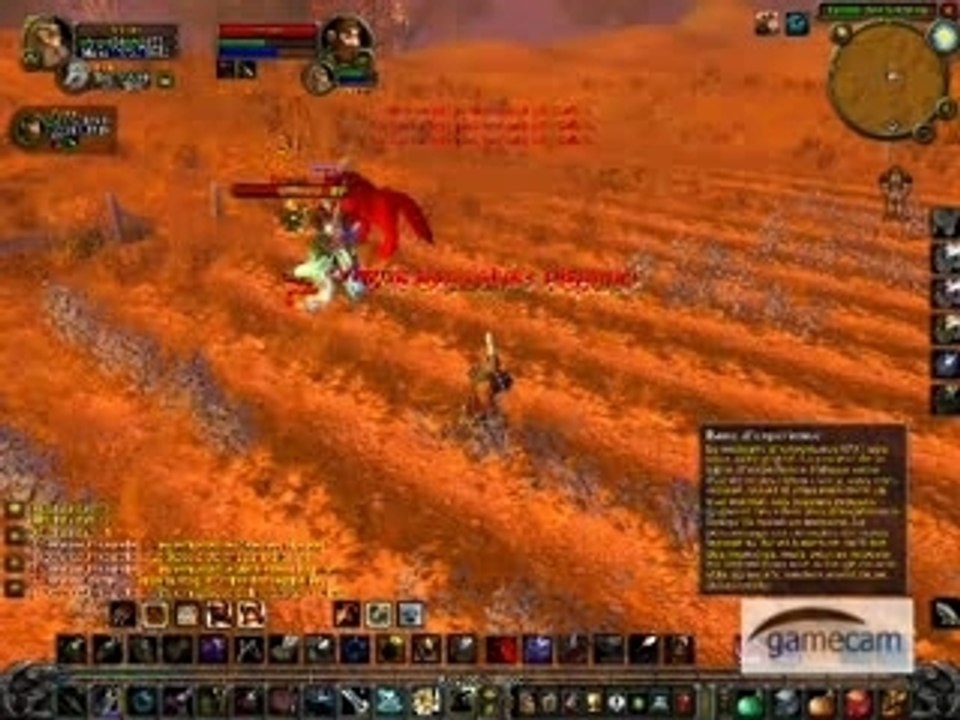 WoW_Cool duel