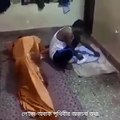 (2) হা হা হা হা