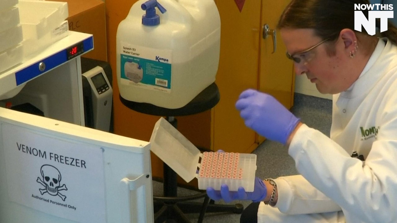 Insect Venom Might Kill Superbugs