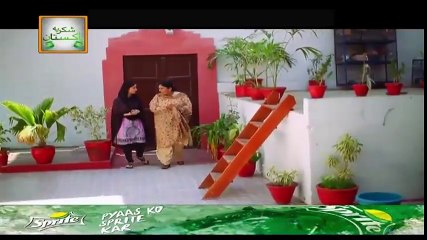 Main Mehru Hoon Episode 20