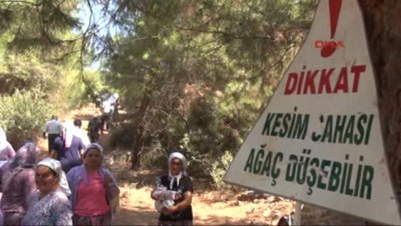 Bodrum'da Katı Atık Depolama Tesisi İçin Ağaç Kesimi Başladı, Köylü İsyanda